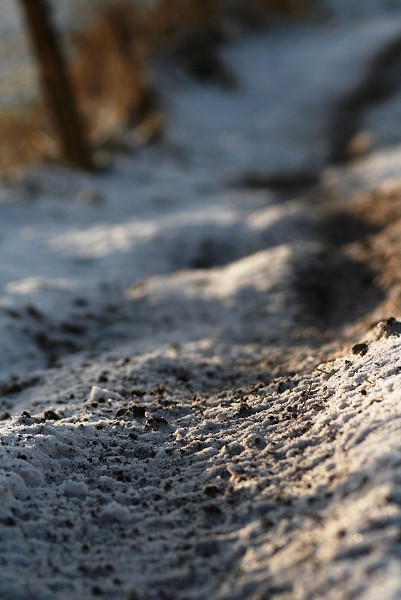 SNOW CROSS 29.12.2009